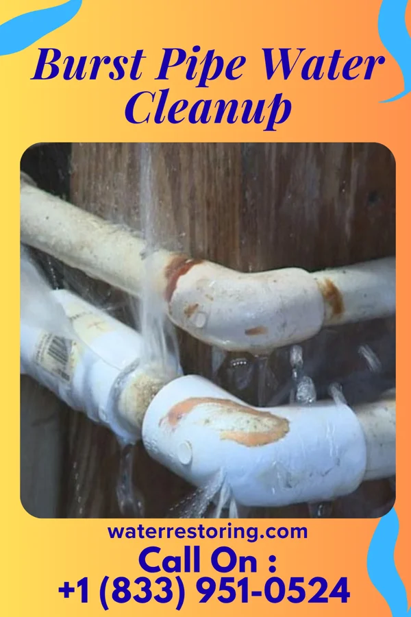 Burst Pipe Water Cleanup in Port Washington, WI