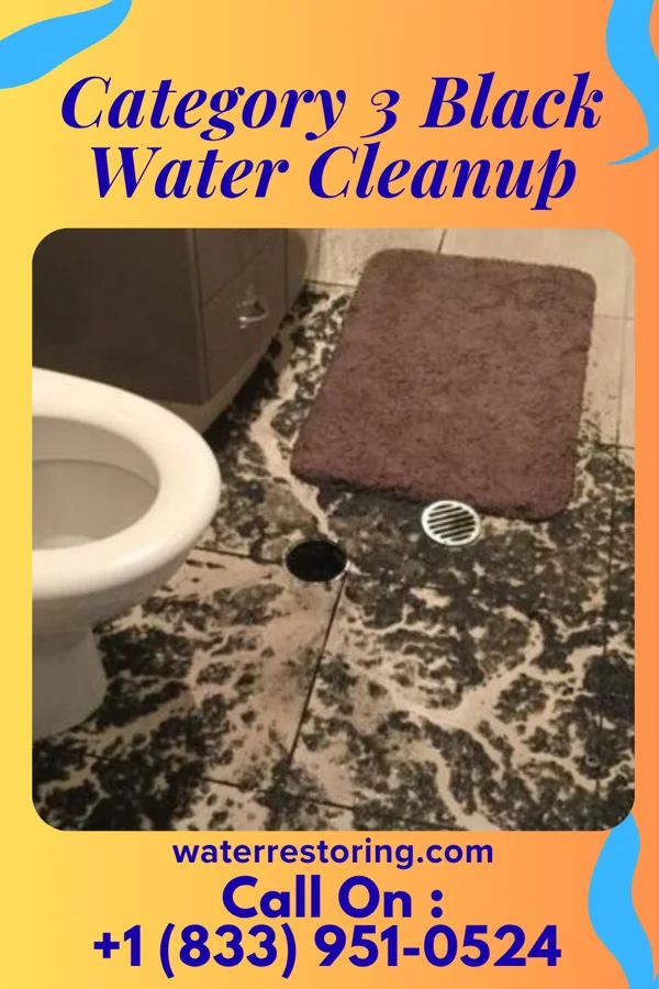 Category 3 Black Water Cleanup in Port Washington, WI