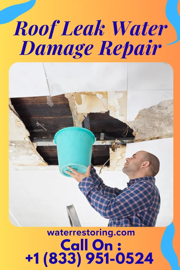 Roof Leak Water Damage Repair in Port Washington, WI