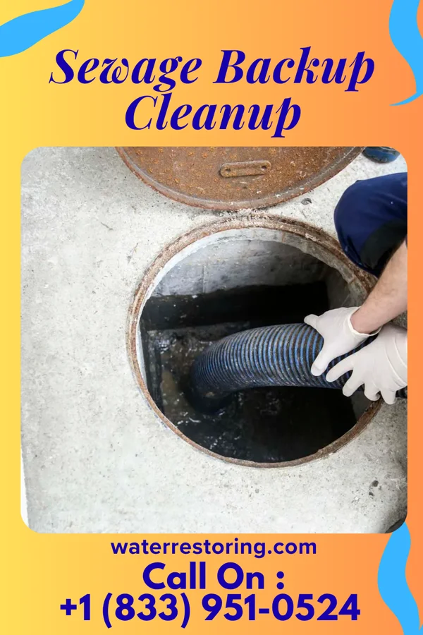 Sewage Backup Cleanup in Port Washington, WI