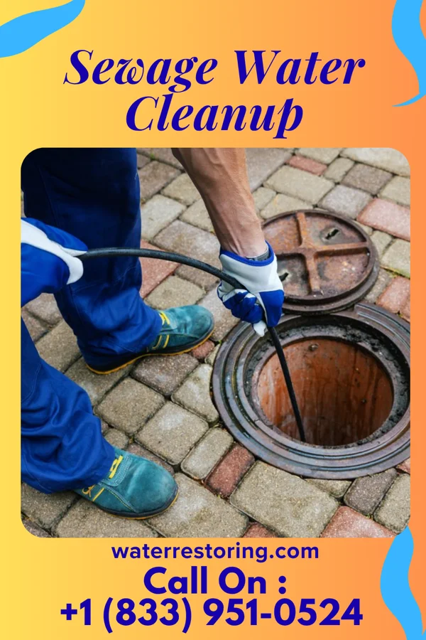 Sewage Water Cleanup in Port Washington, WI