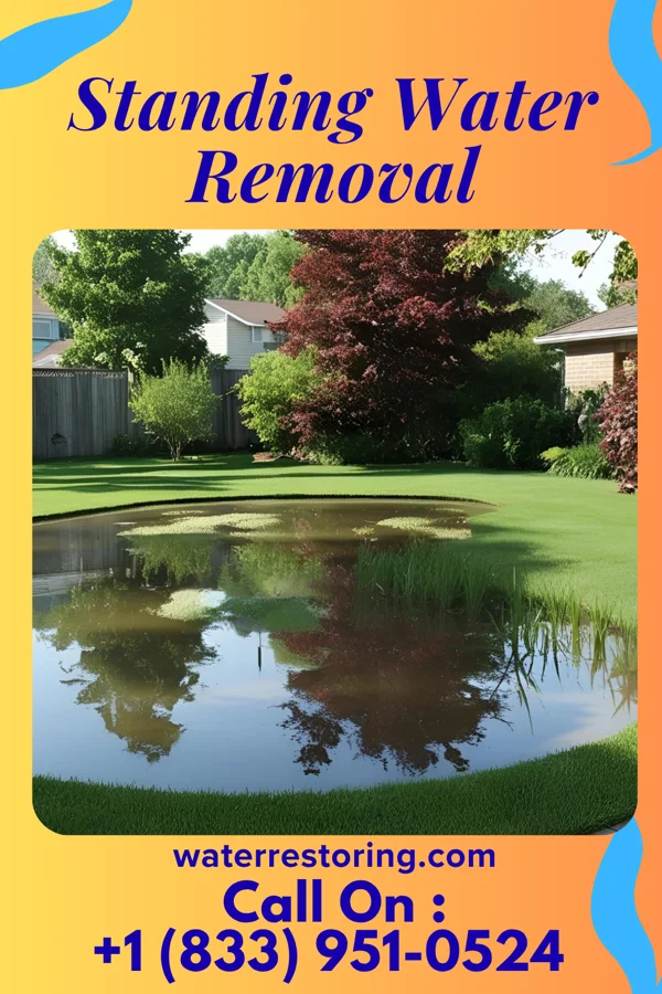 Standing Water Removal in Port Washington, WI
